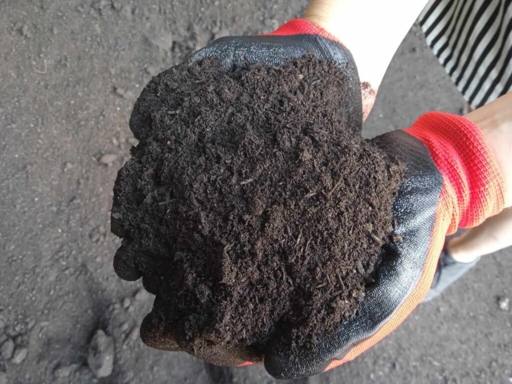 Giżycki Dzień Ziemi pod hasłem: „UWOLNIJ BIO…” – 22.04.2024