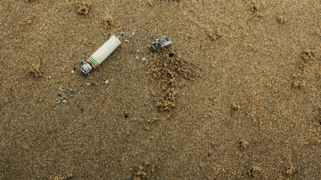 Plażowy Savoir-Vivre – sezon startuje, jak zachować się nad jeziorem?