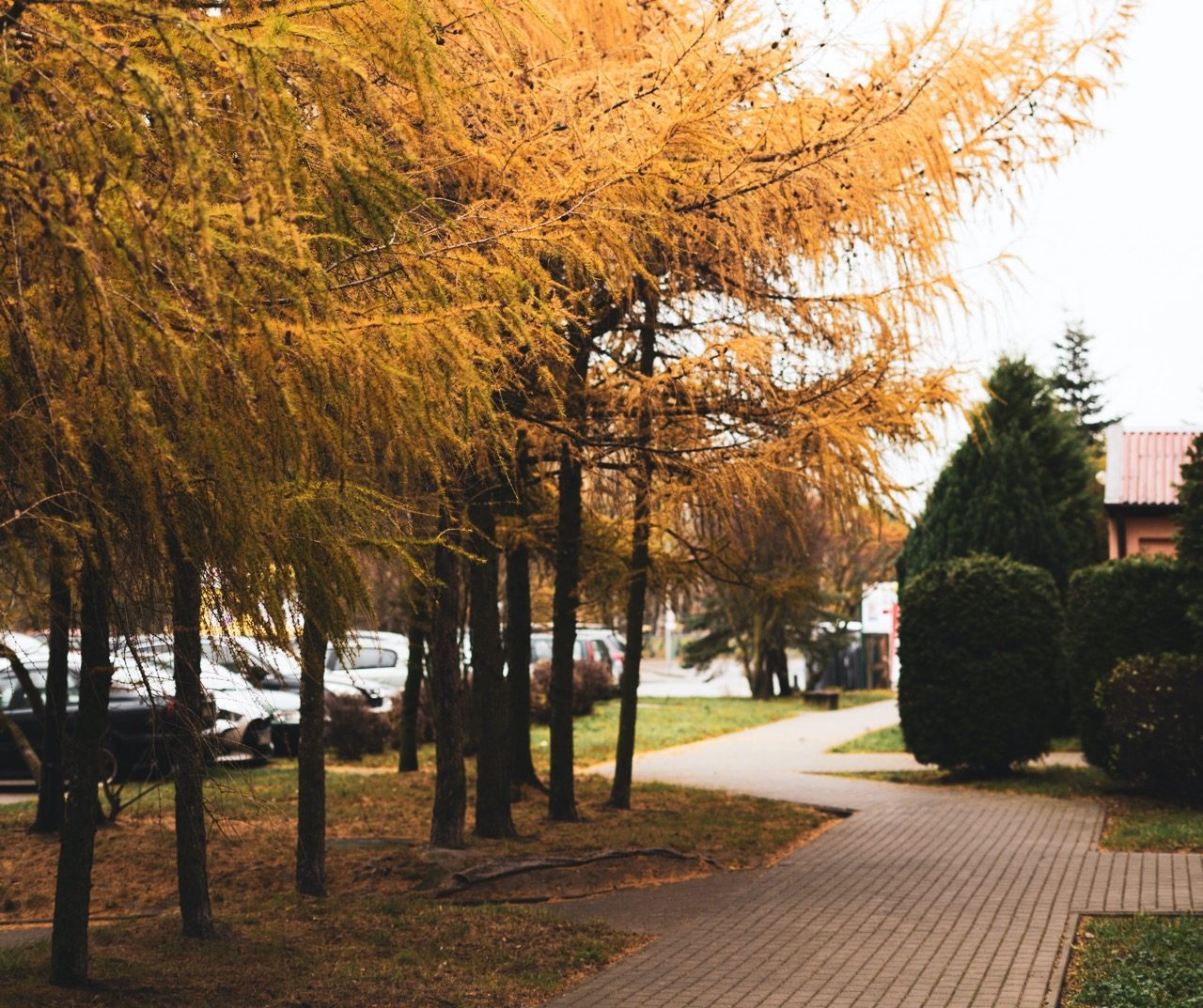 Osiedle Królowej Jadwigi Giżycko