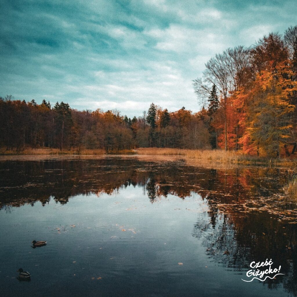 Co robić w niedzielę w Giżycku jesienią?