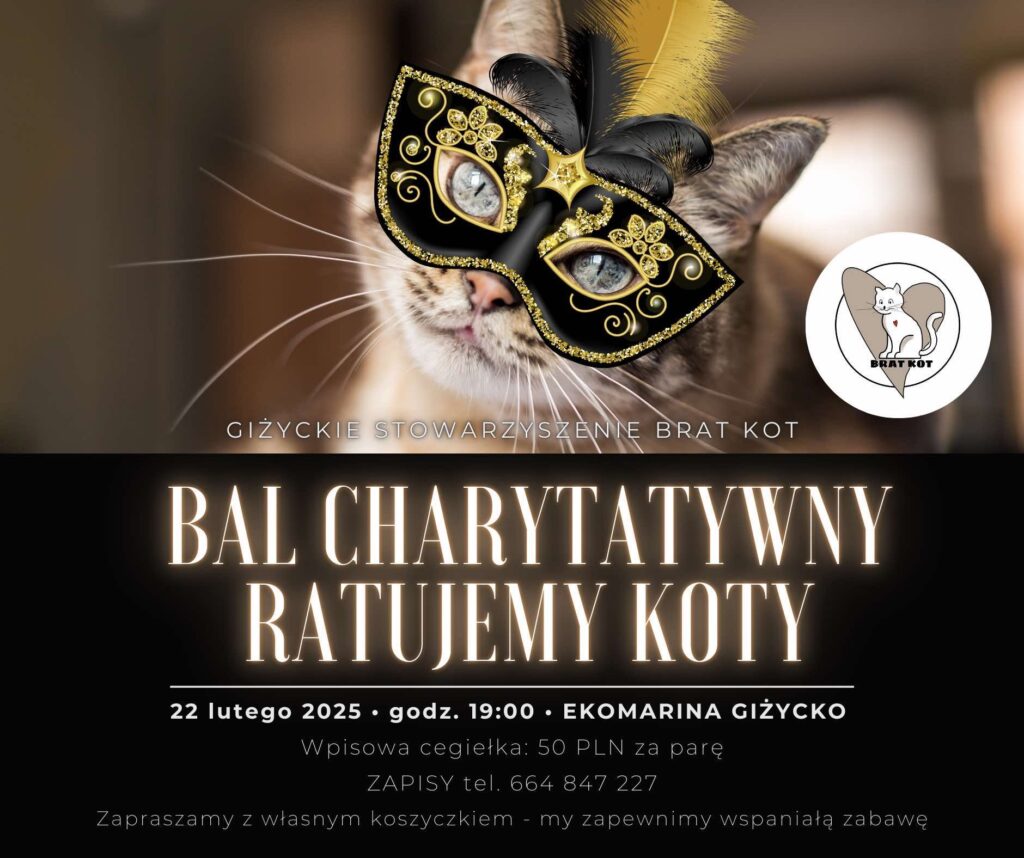 Bal Charytatywny – Ratujemy Koty