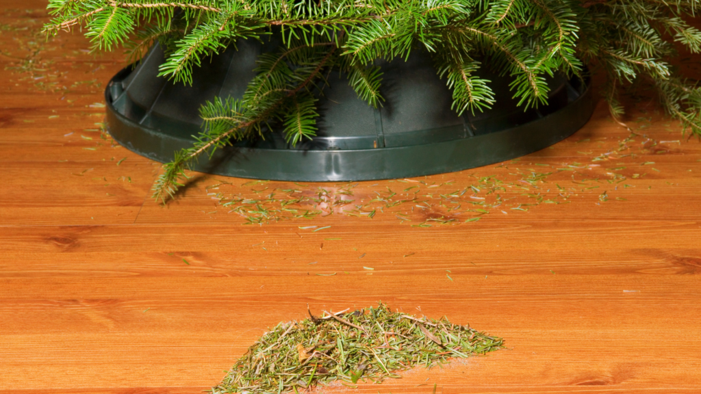 Do kiedy trzymać ubraną choinkę i co z nią zrobić po świętach?
