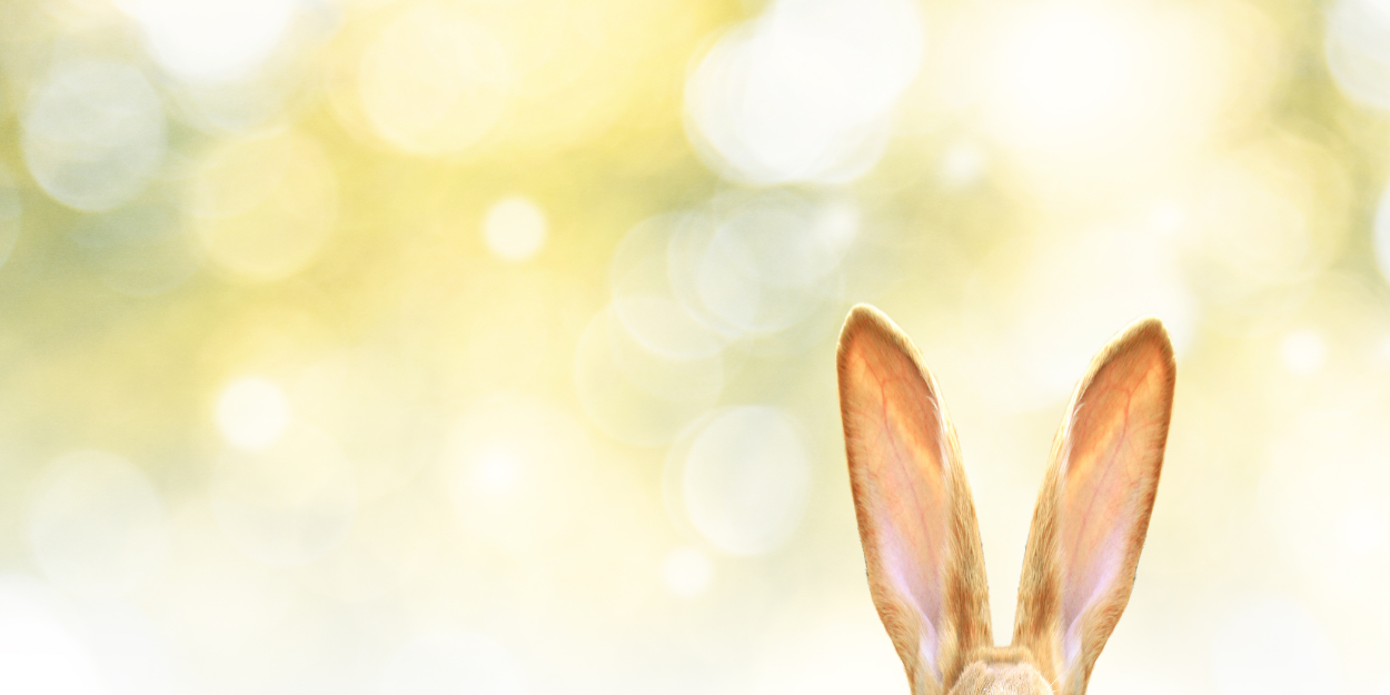 Co symbolizuje jajko, baranek i palma wielkanocna? Historia i znaczenie, o których mało kto pamięta