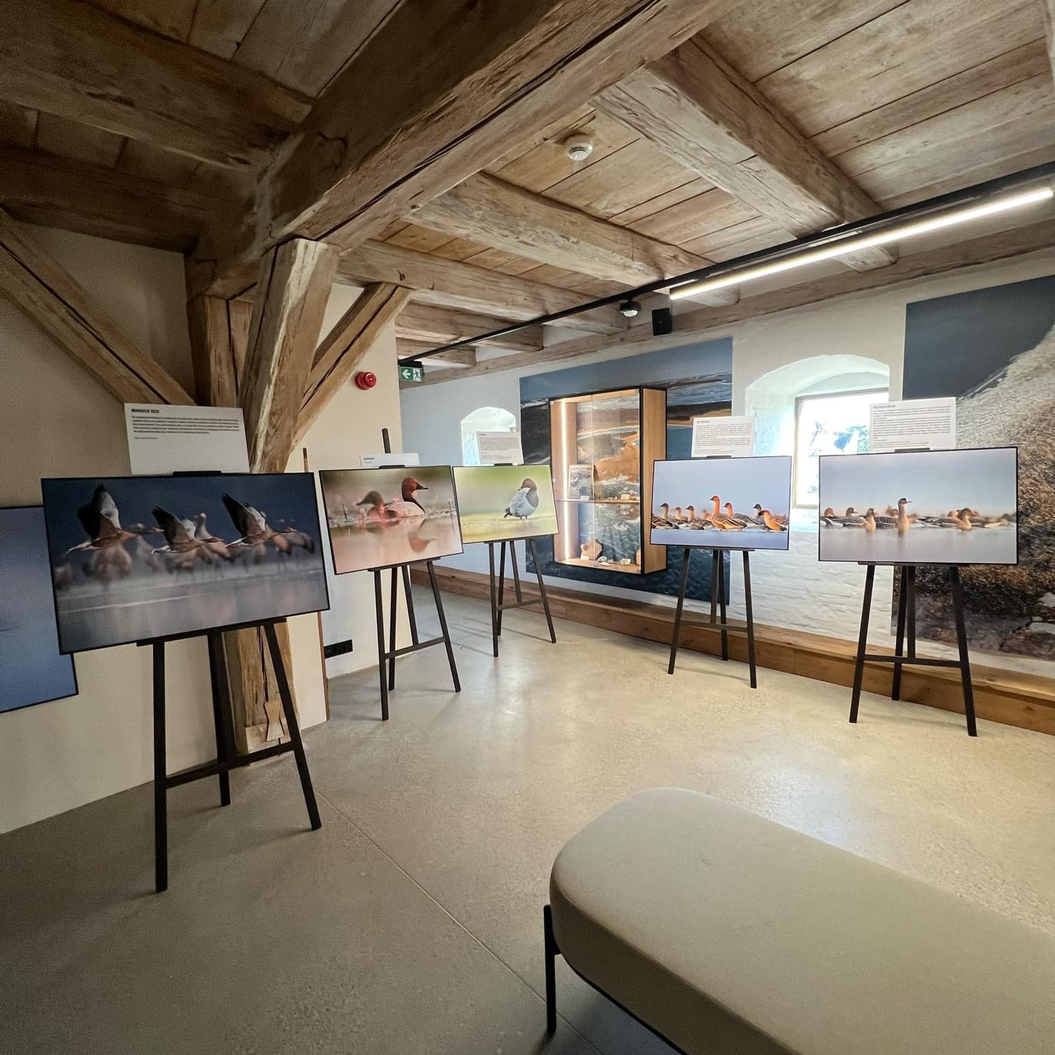 Memuak Muzeum Sztynort atrakcje turystyczne