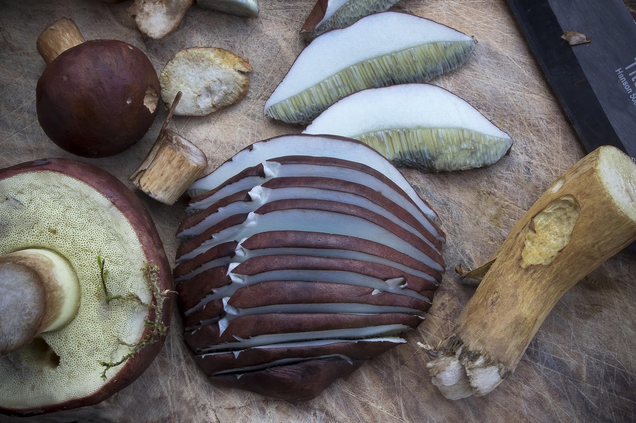 Grzybobranie Giżycko i okolice