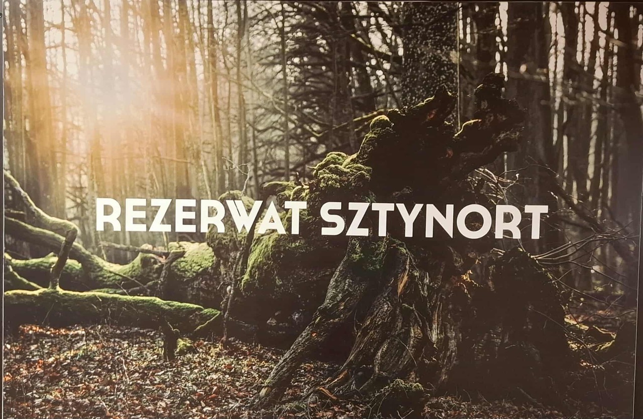 Mazurskie Zielone Lekcje – edukacja ekologiczna dzieci i młodzieży z regionu Wielkich Jezior Mazurskich