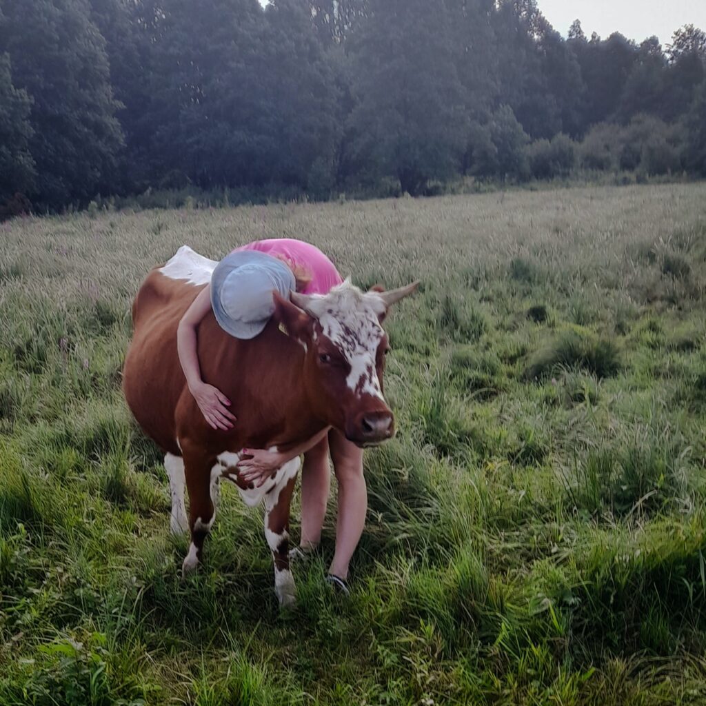 Krowoterapia Giżycko Mazury