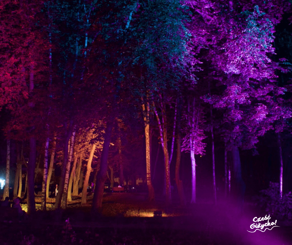 Park Świateł Małpi Gaj