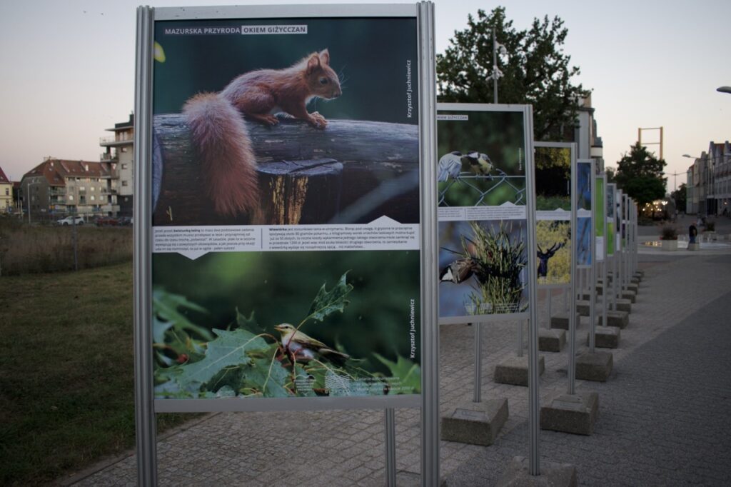 Wystawa obrazów Giżycko
