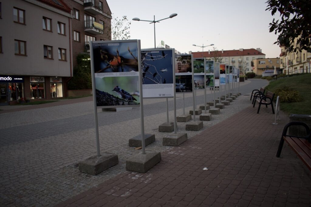 Wystawa obrazów Giżycko