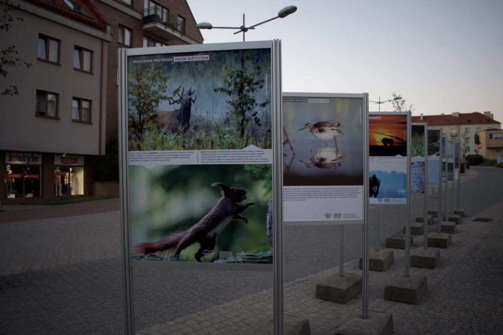 Wystawa obrazów Giżycko