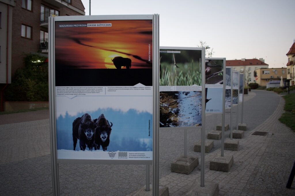 Wystawa obrazów Giżycko