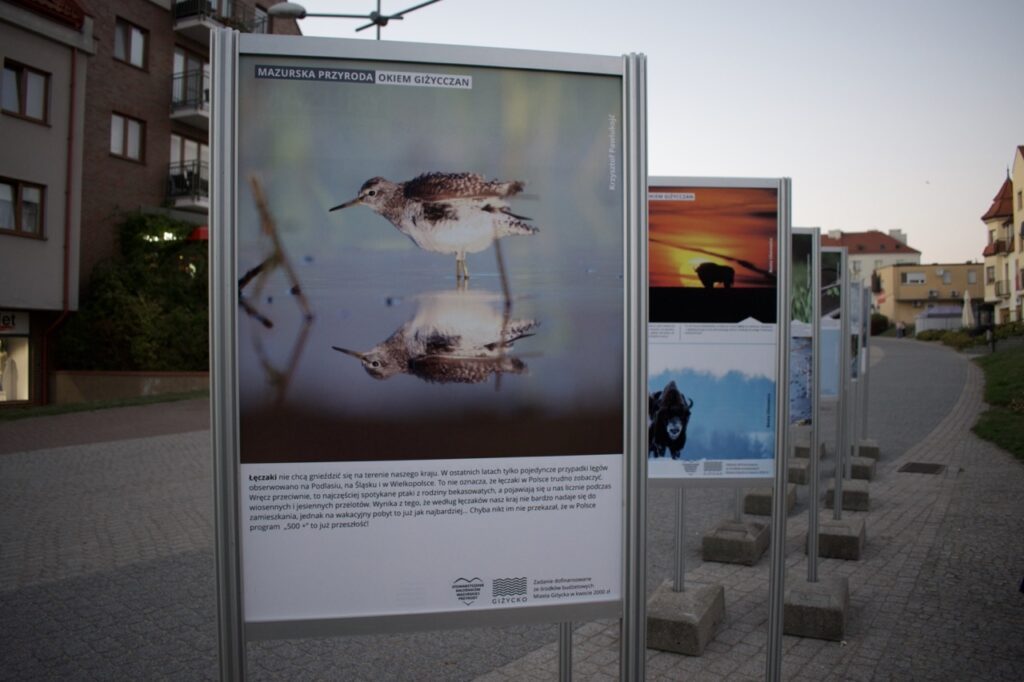 Wystawa obrazów Giżycko