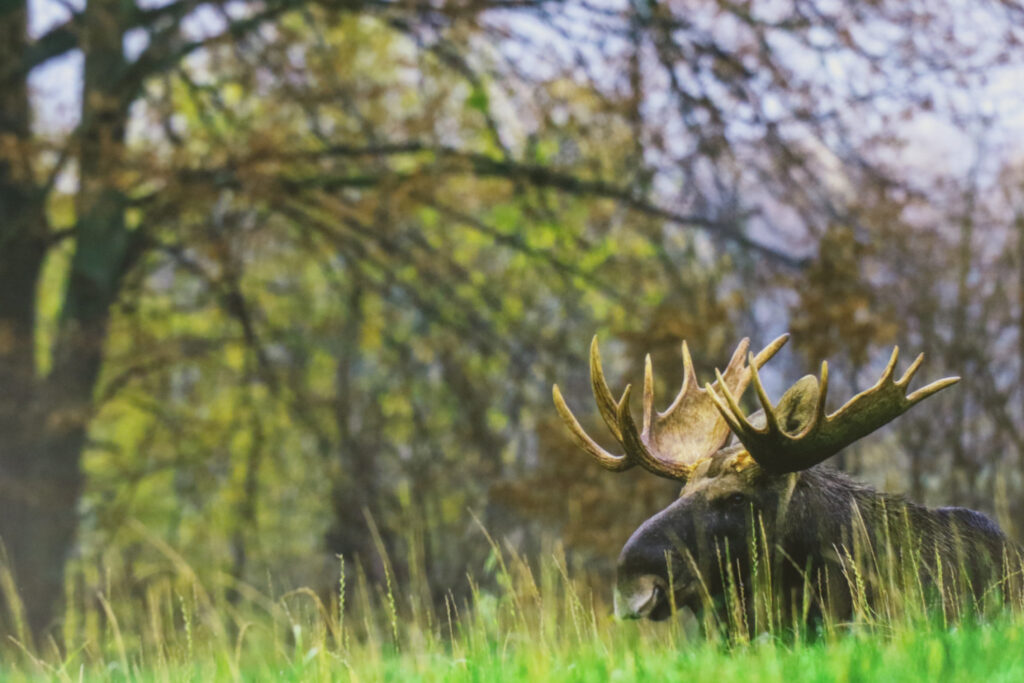 Wernisaż wystawy fotograficznej Jana Olchówki – Fotorelacja