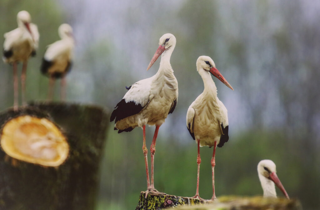 Wernisaż wystawy fotograficznej Jana Olchówki – Fotorelacja
