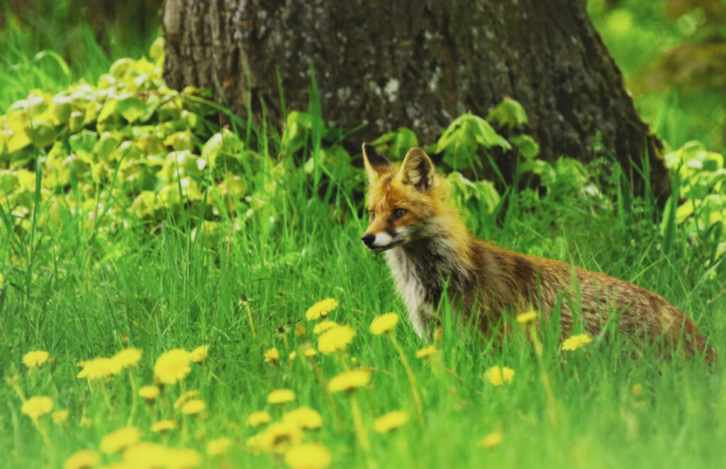 Wernisaż wystawy fotograficznej Jana Olchówki – Fotorelacja