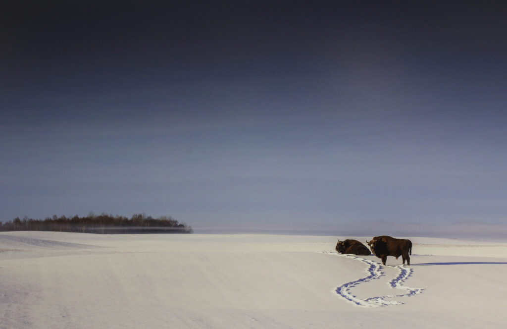 Wernisaż wystawy fotograficznej Jana Olchówki – Fotorelacja