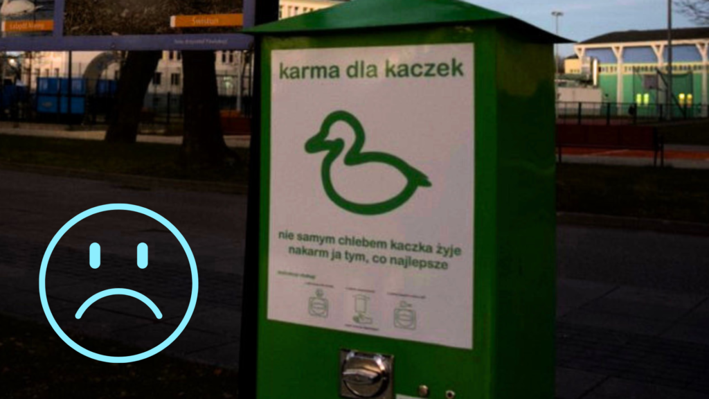 Jak dokarmiać ptaki zimą? Z pewnością NIE CHLEBEM