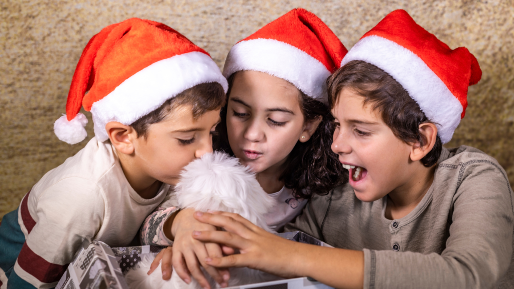 Zwierzę to nie prezent – refleksja o świątecznych podarunkach