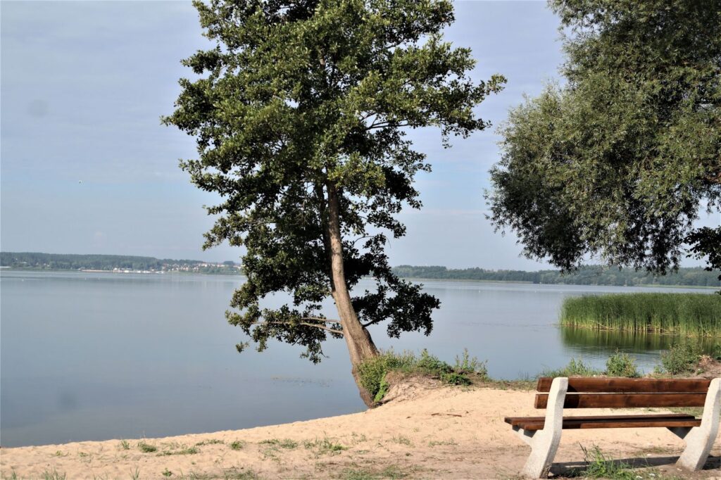 Dzika plaża w Giżycku – naturalna oaza nad jeziorem Niegocin