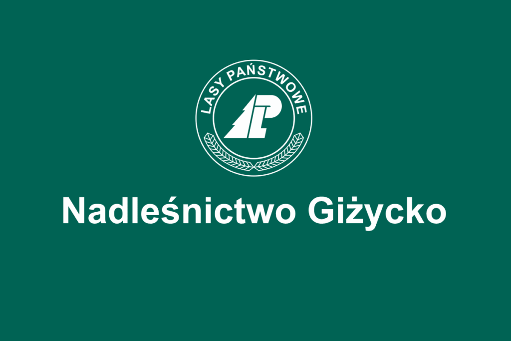 Nadleśnictwo Giżycko – Przyroda Mazur w Najpiękniejszej Odsłonie