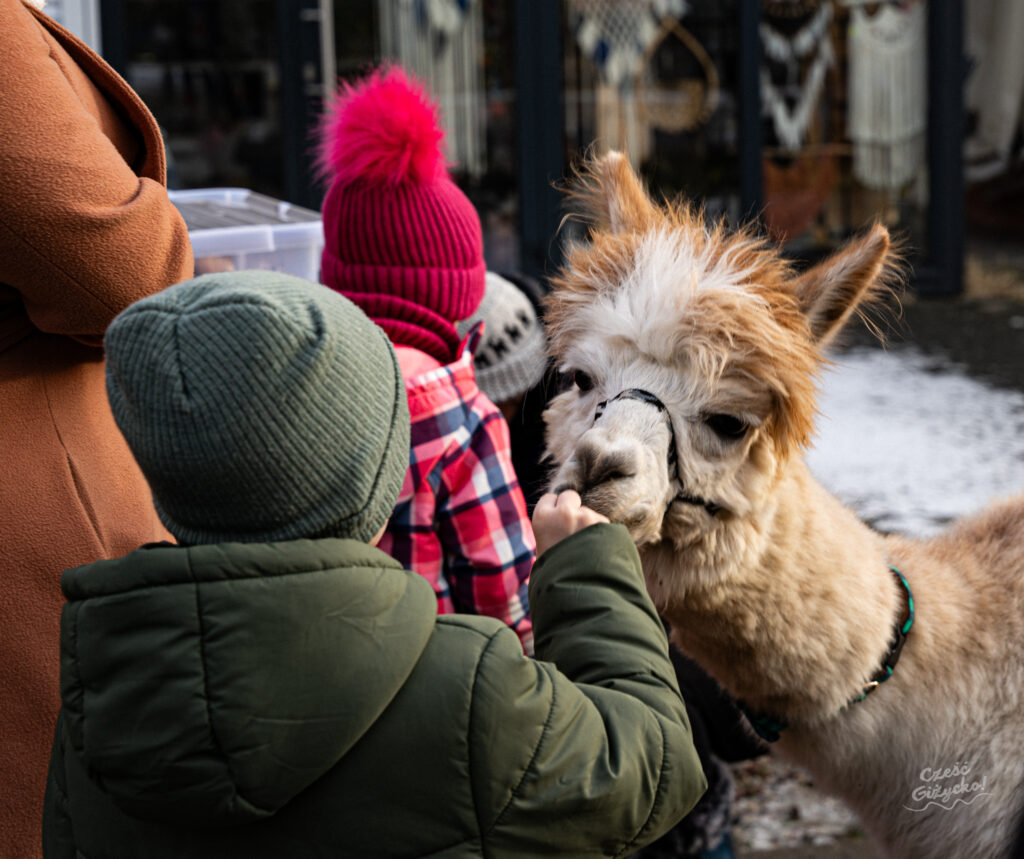 Jarmark Bożonarodzeniowy w Giżycku 2024 – Fotorelacja
