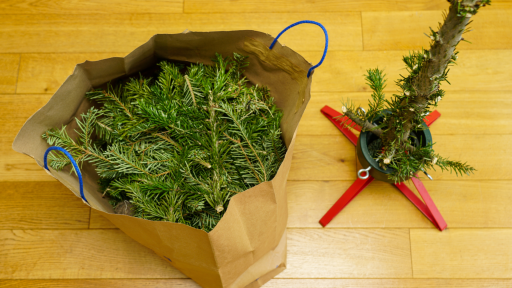 Do kiedy trzymać ubraną choinkę i co z nią zrobić po świętach?