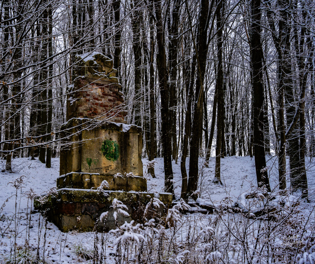Zaśnieżony Las Miejski w Giżycku – styczeń 2025 FOTOGALERIA