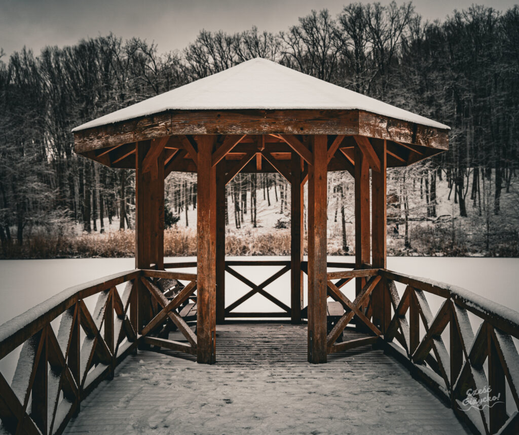 Zaśnieżony Las Miejski w Giżycku – styczeń 2025 FOTOGALERIA