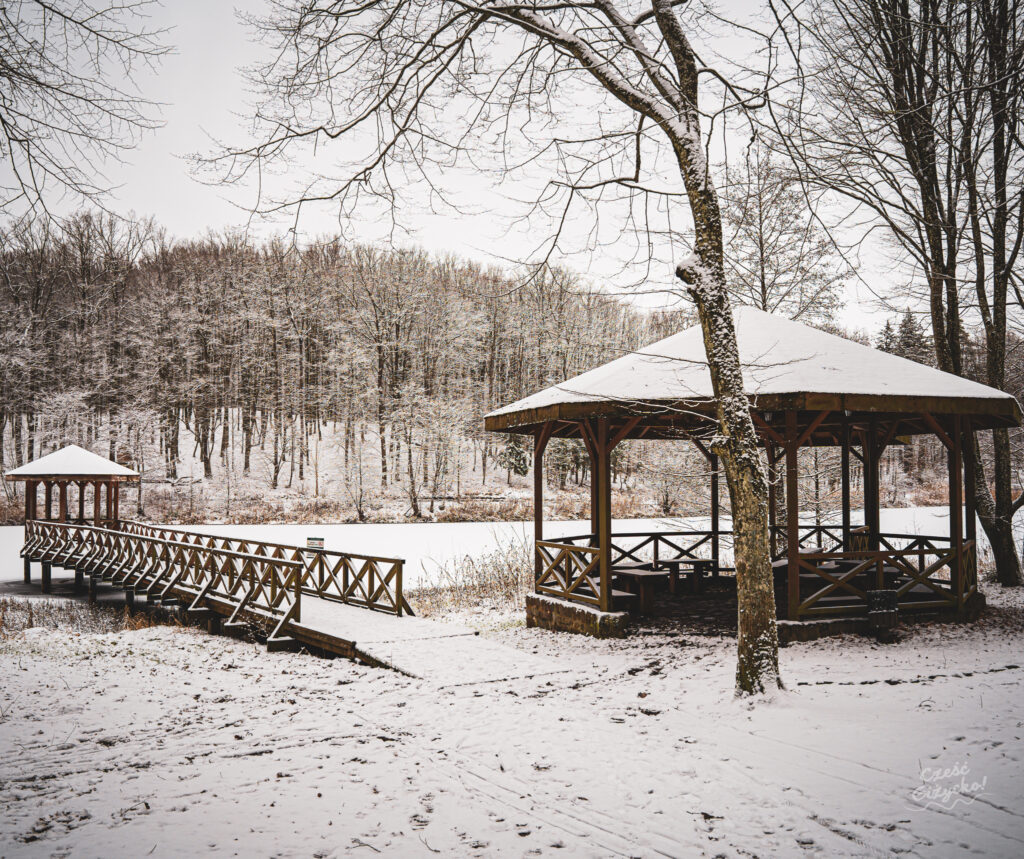 Zaśnieżony Las Miejski w Giżycku – styczeń 2025 FOTOGALERIA