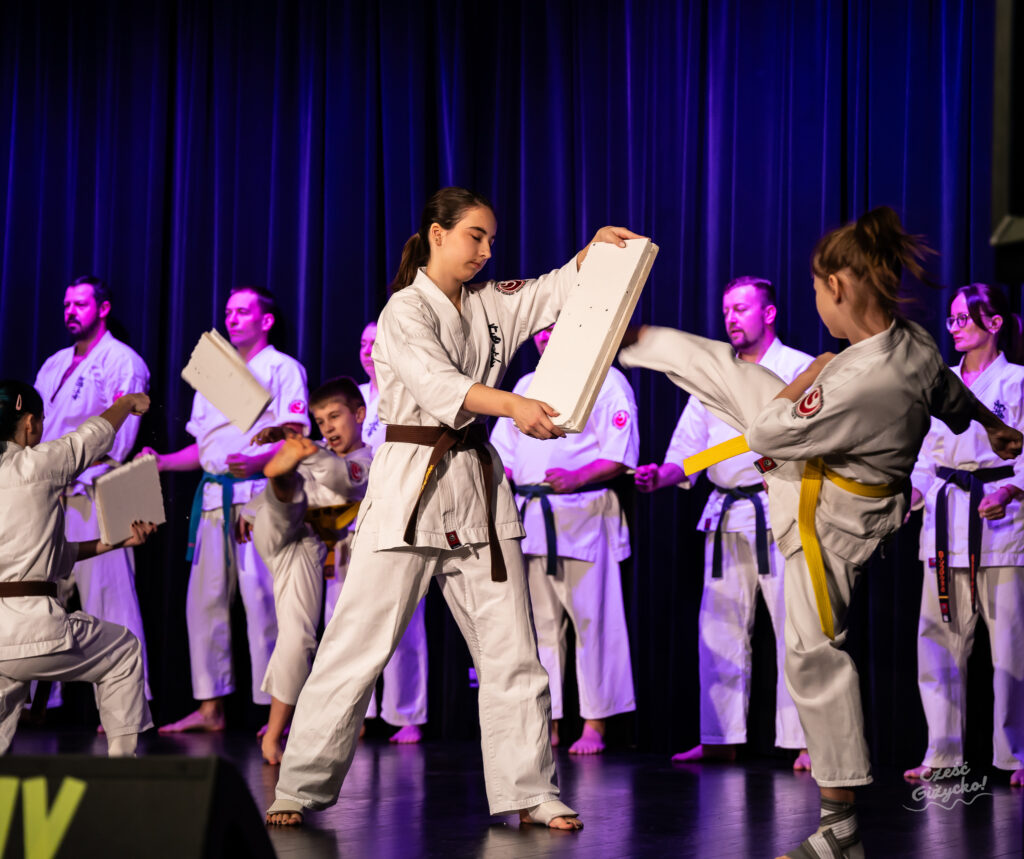 33. Finał WOŚP w Giżycku – FOTORELACJA