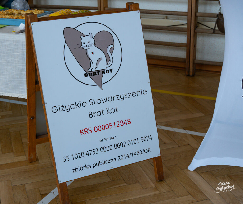 Festyn “Kot to nie zabawka” – fotorelacja