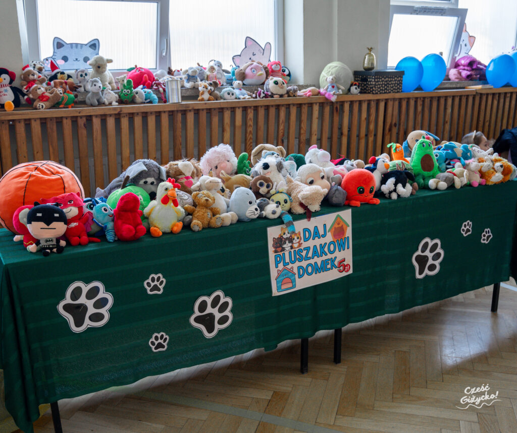 Festyn “Kot to nie zabawka” – fotorelacja