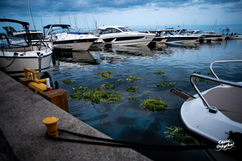 Noc Świętojańska 2025 w Giżycku – FOTORELACJA