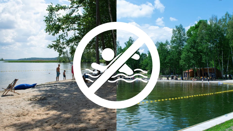 Sinice na jednej z plaż w Giżycku