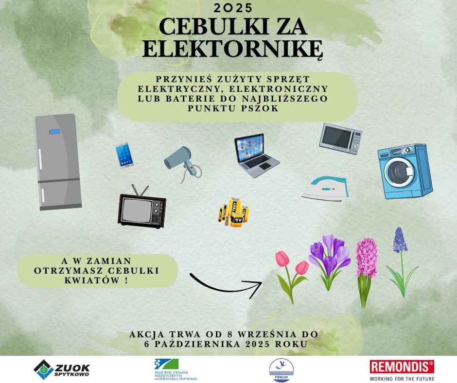 Cebulka za Elektronikę