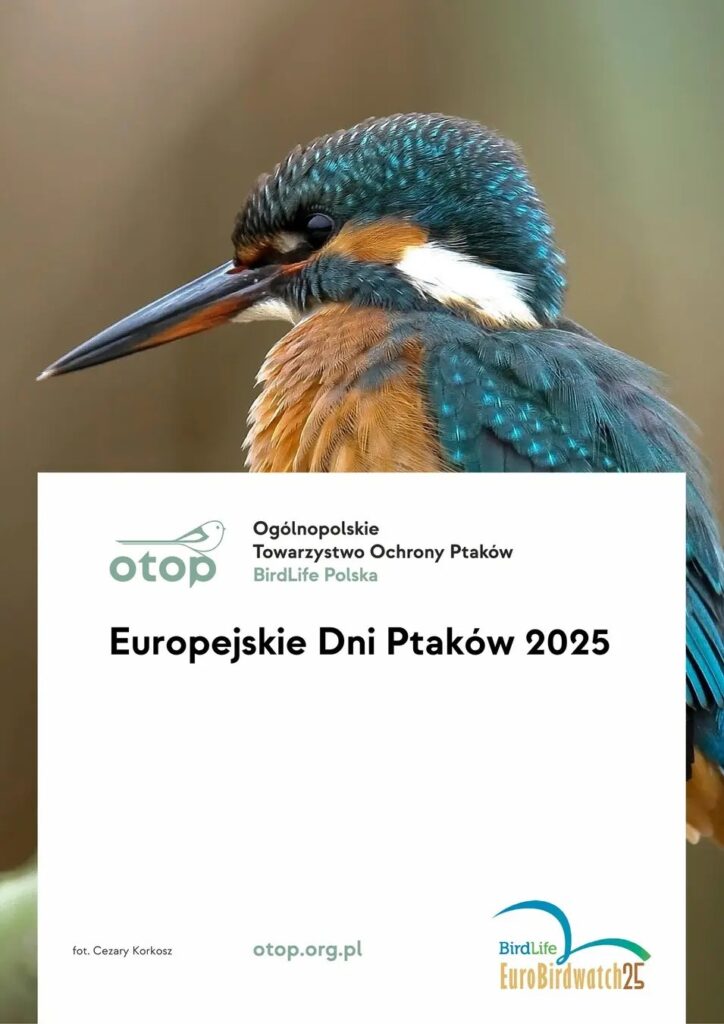 europejskie dni ptakow