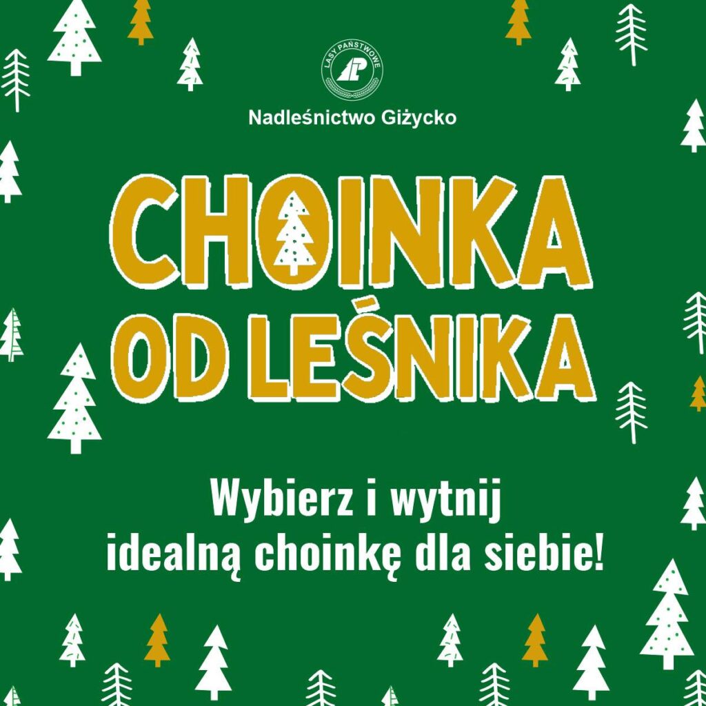 📅 20.12.2025📍 plantacja choinkowa przy leśniczówce KamionkaChoinka od leśnika – 20 grudnia 2025. Wybierz i zetnij własne drzewko prosto z plantacji