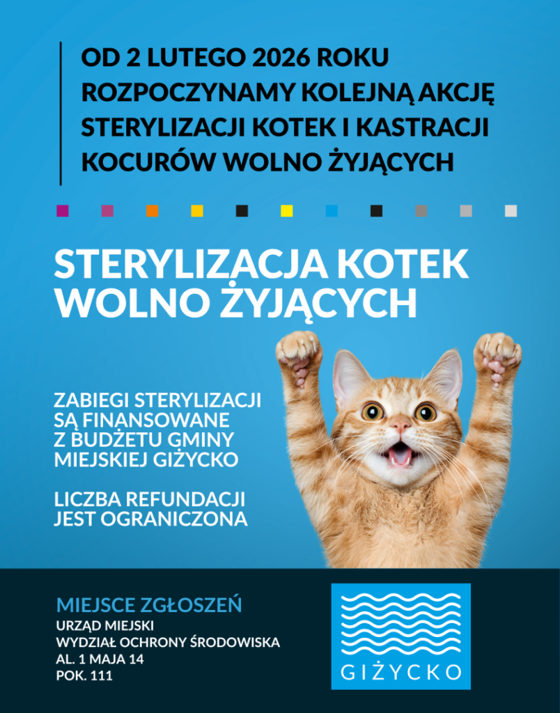 Giżycko rusza z akcją sterylizacji i kastracji kotów wolno żyjących. Zabiegi od 2 lutego 2026